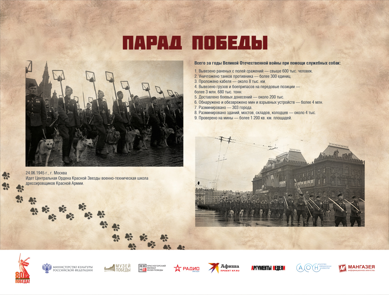 ЧГ20.jpg